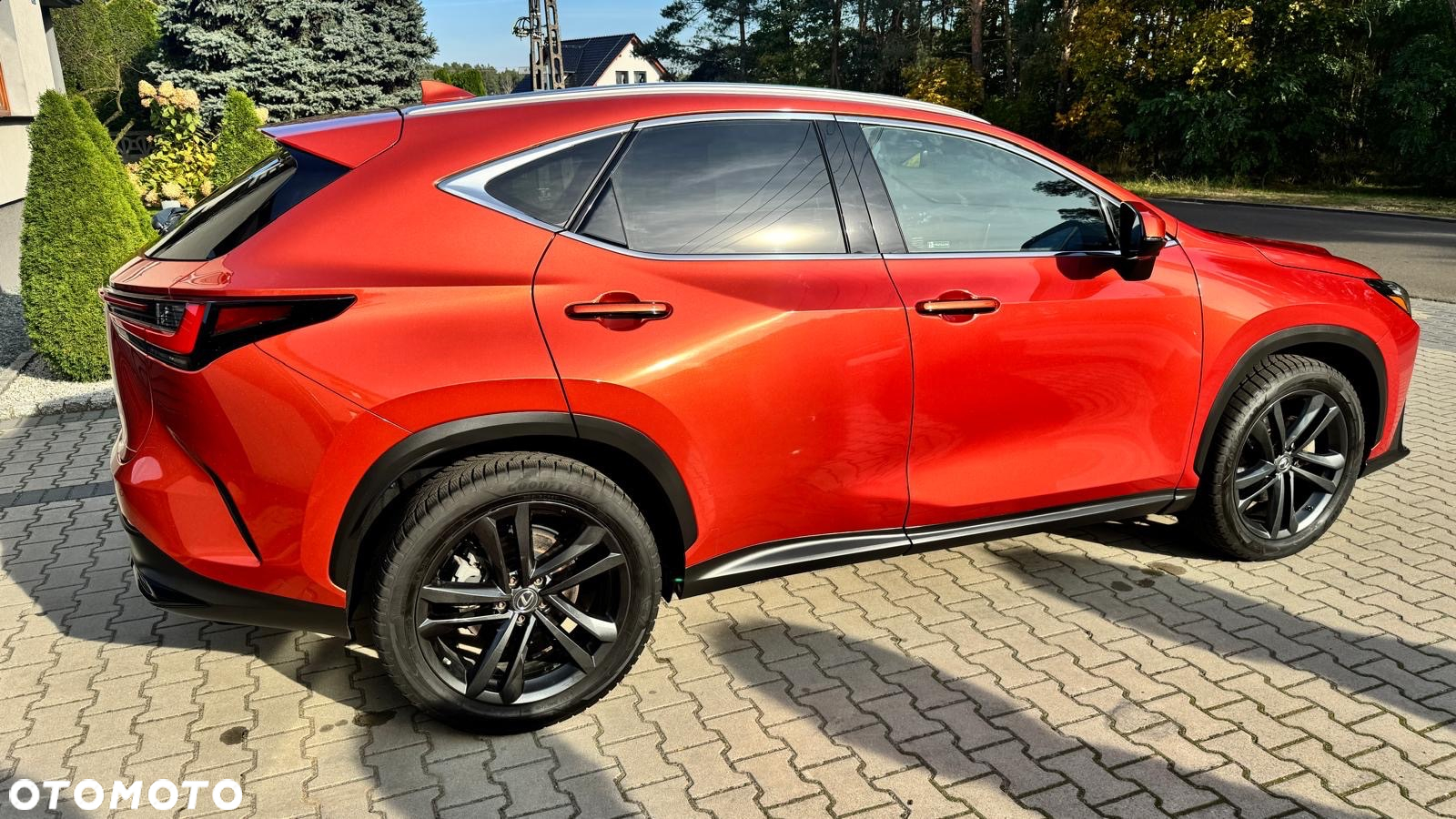 Lexus NX - 12