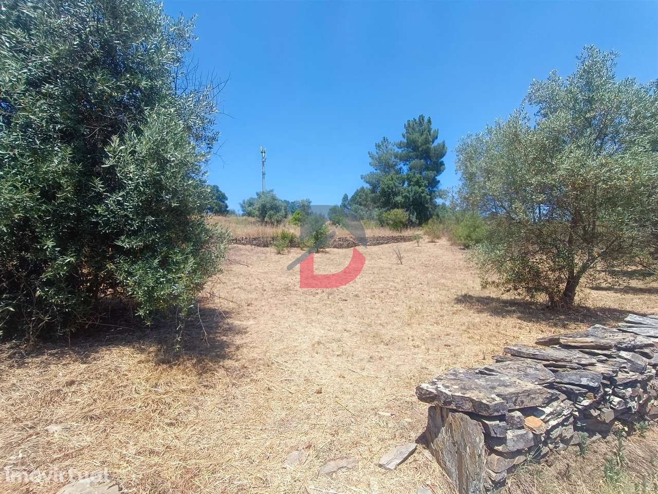 Terreno Rústico - Grande imagem: 3/14