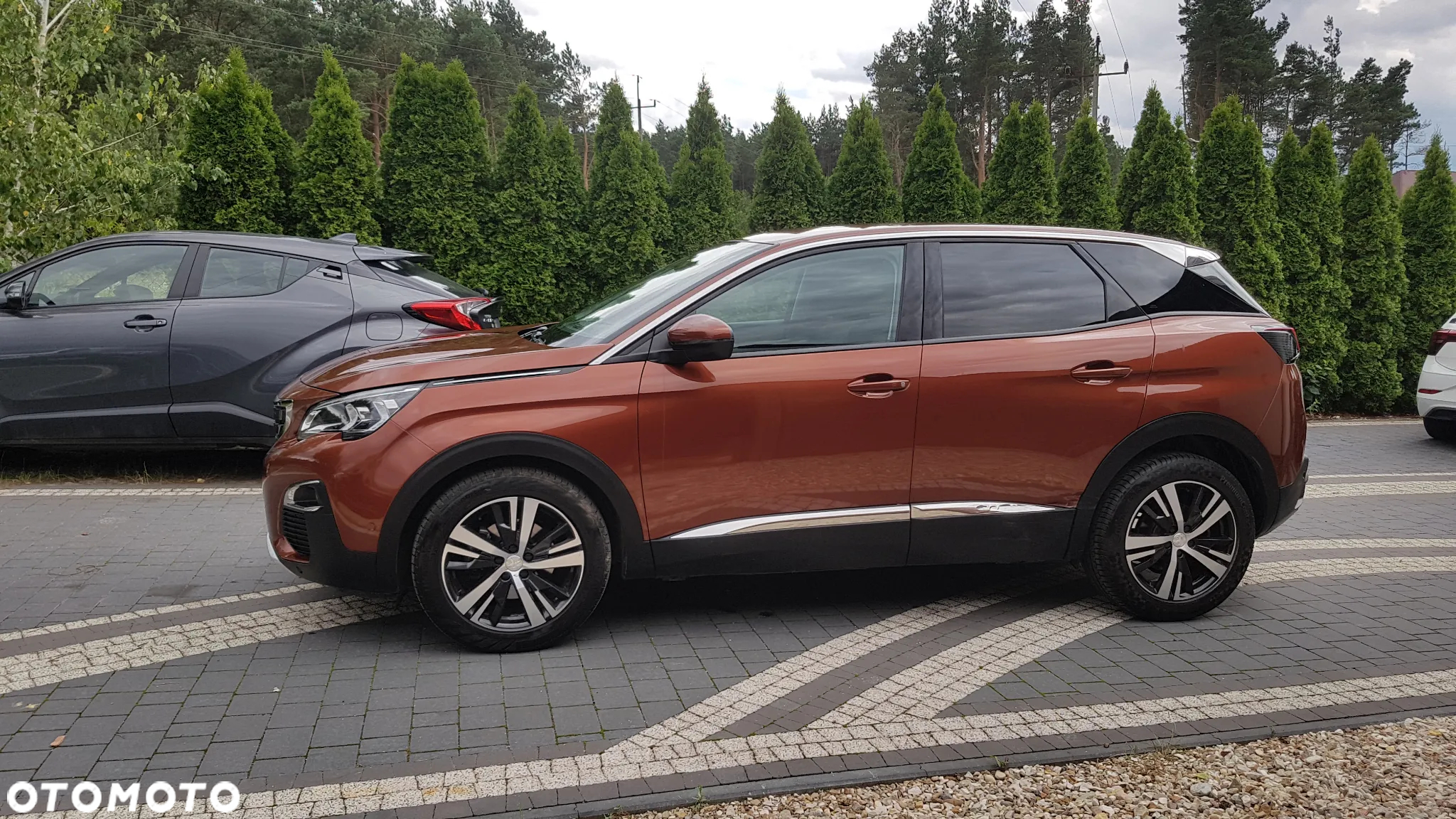 Peugeot 3008 1.6 BlueHDi Style S&S - 18