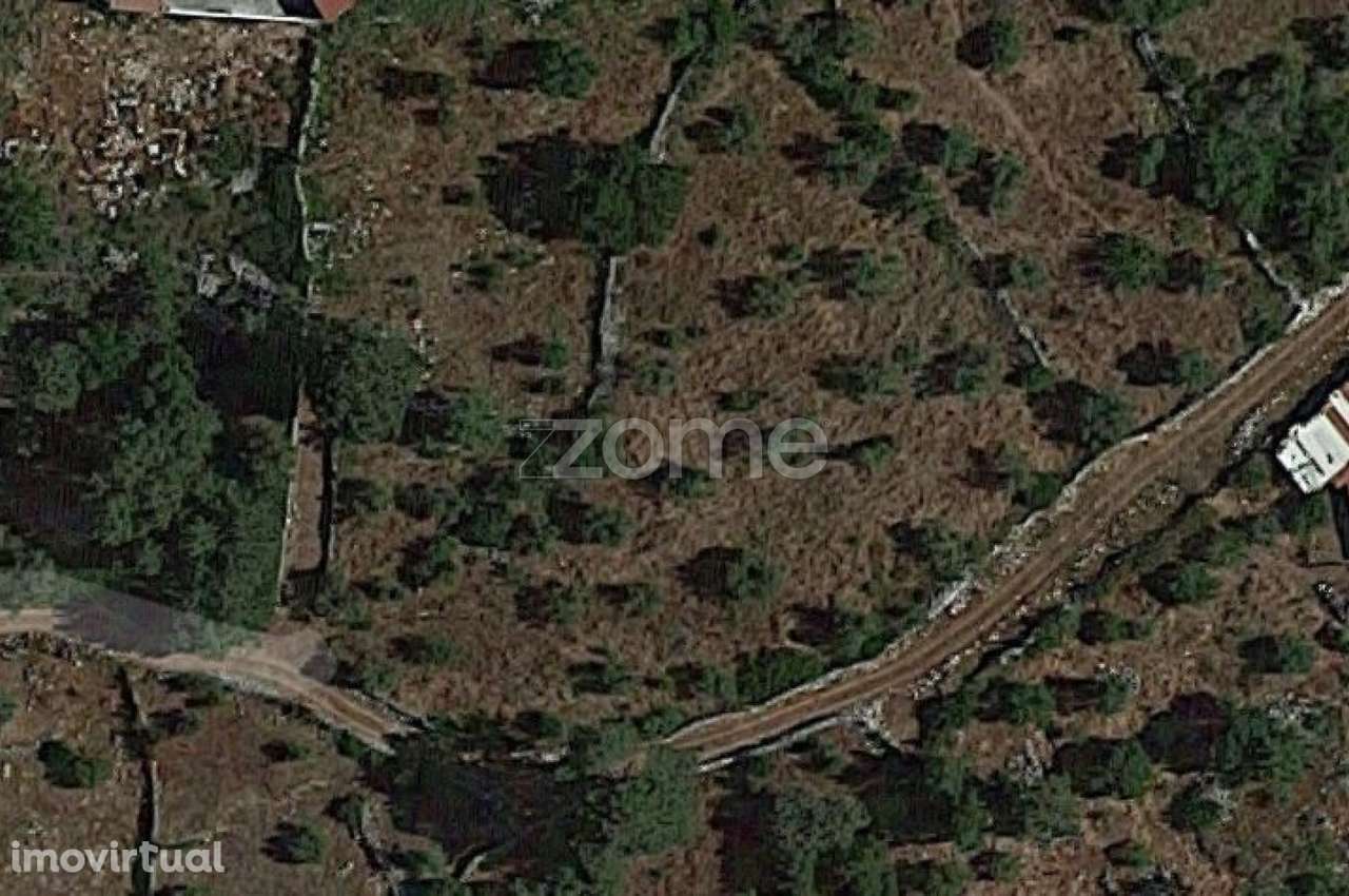 Terrenos Murados ( Cerrados ) em Mira de Aire - Grande imagem: 2/23