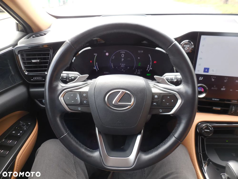 Lexus NX - 30