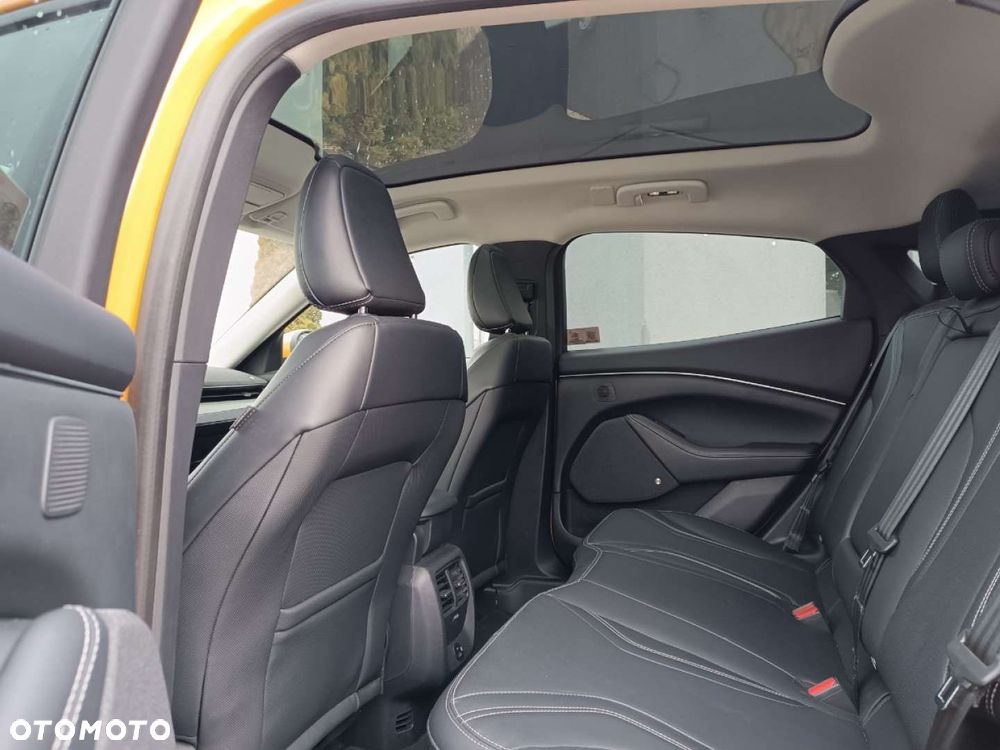 Ford Mustang Mach-E - 14