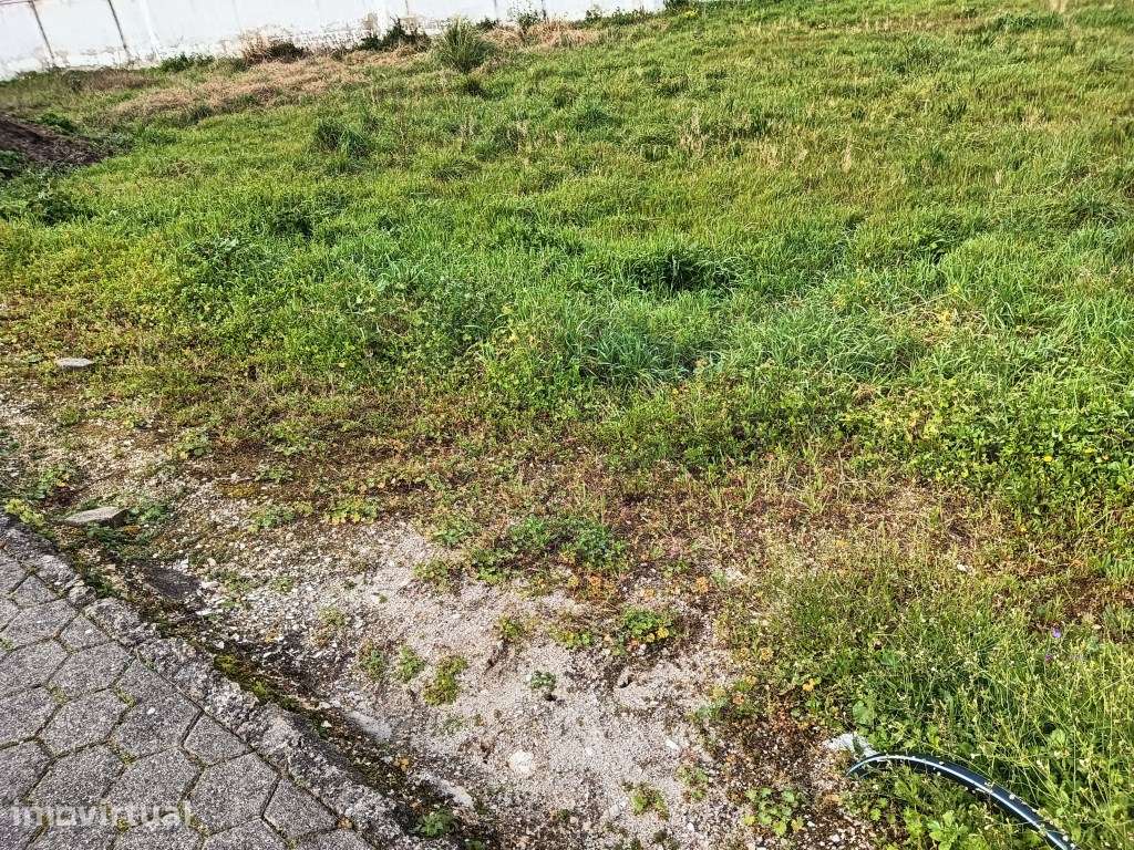 Terreno para construção de moradia na Vista Alegre - Ílhavo - Grande imagem: 3/6