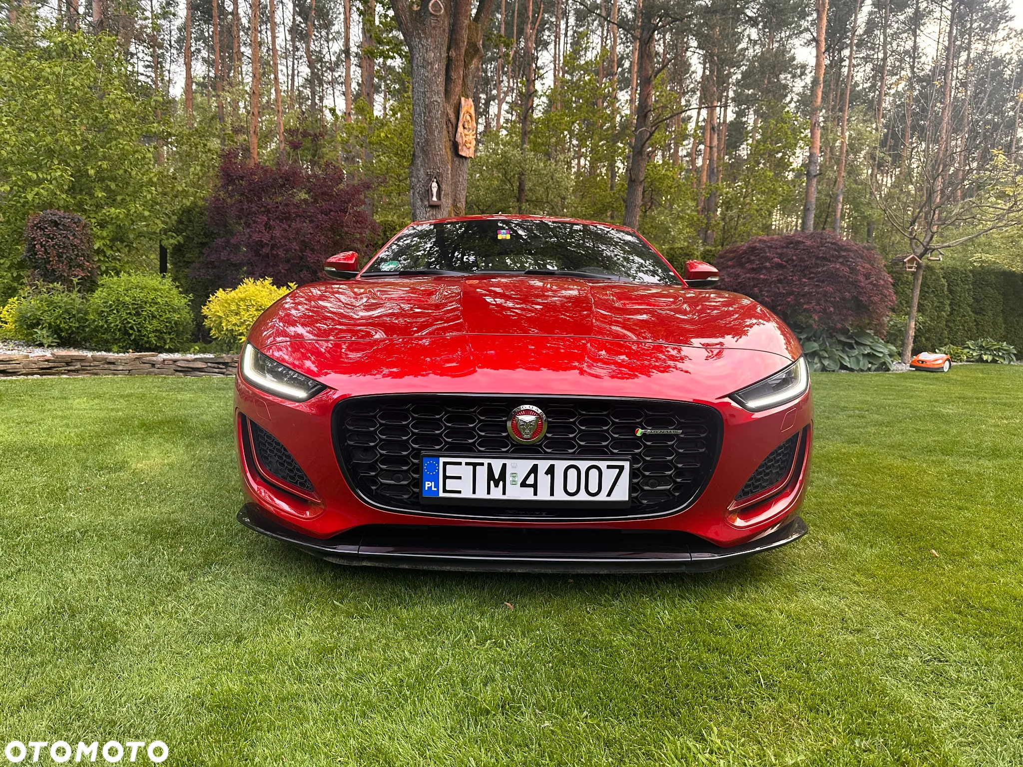 Jaguar F-Type 2.0 Turbo R-Dynamic Black - 7