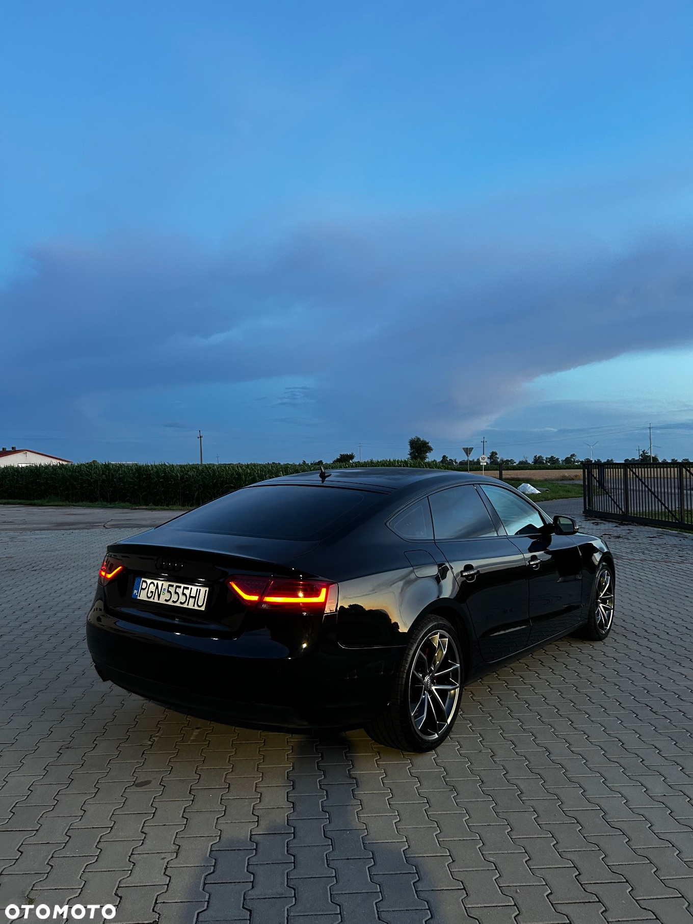 Audi A5 Sportback 2.0 TDI Quattro S tronic - 2