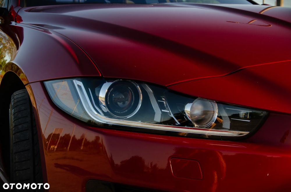 Jaguar XE - 10