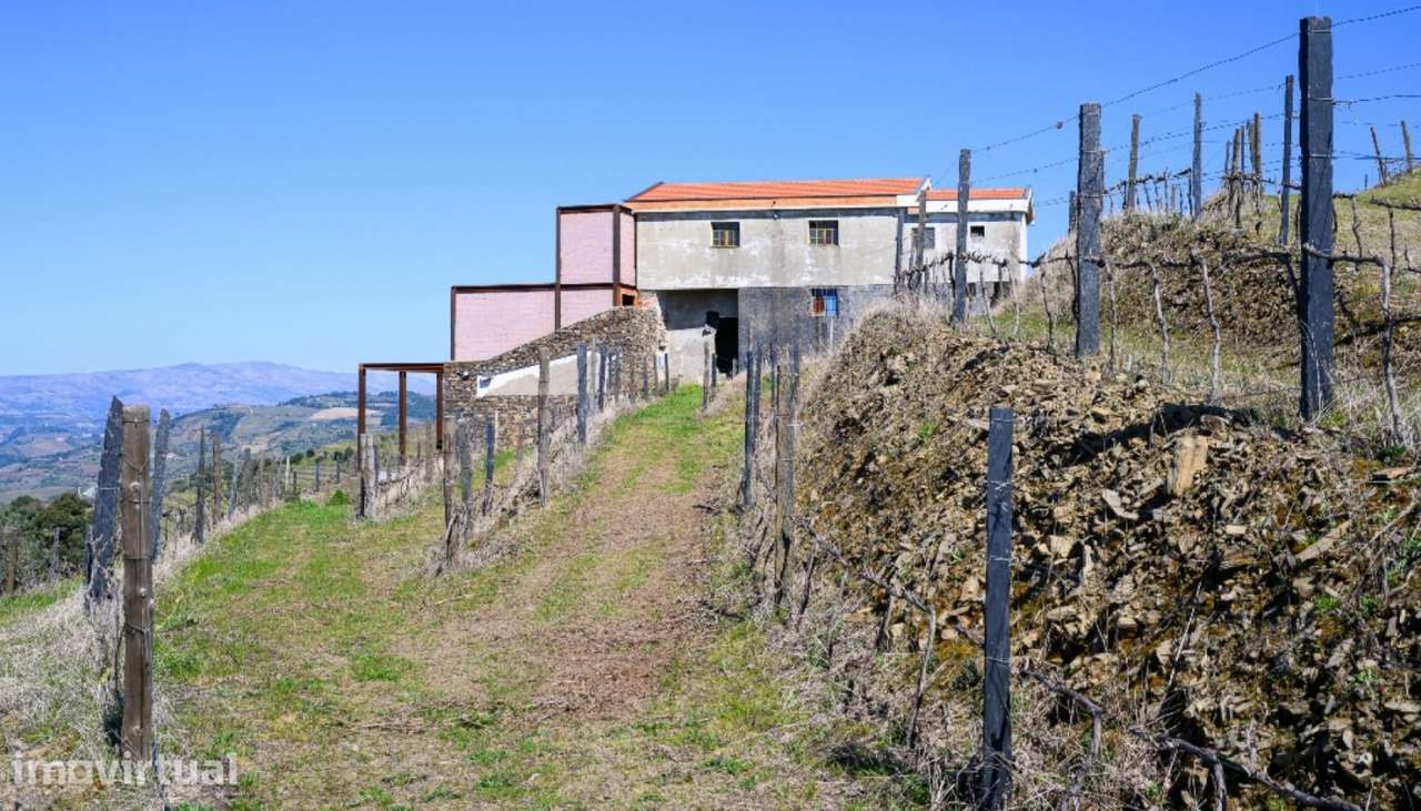 Quinta vínicola à venda no Peso da Régua no Douro Valley - Grande imagem: 5/22