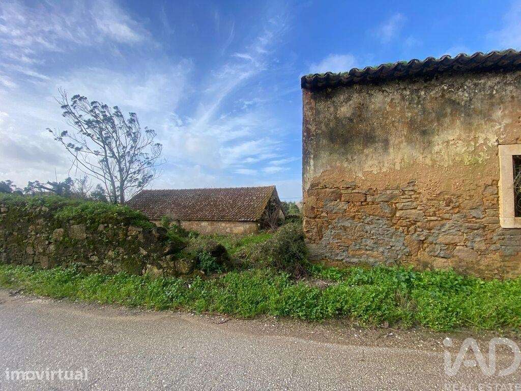 Casa de Campo em Roliça de 150 m2 - Grande imagem: 3/12