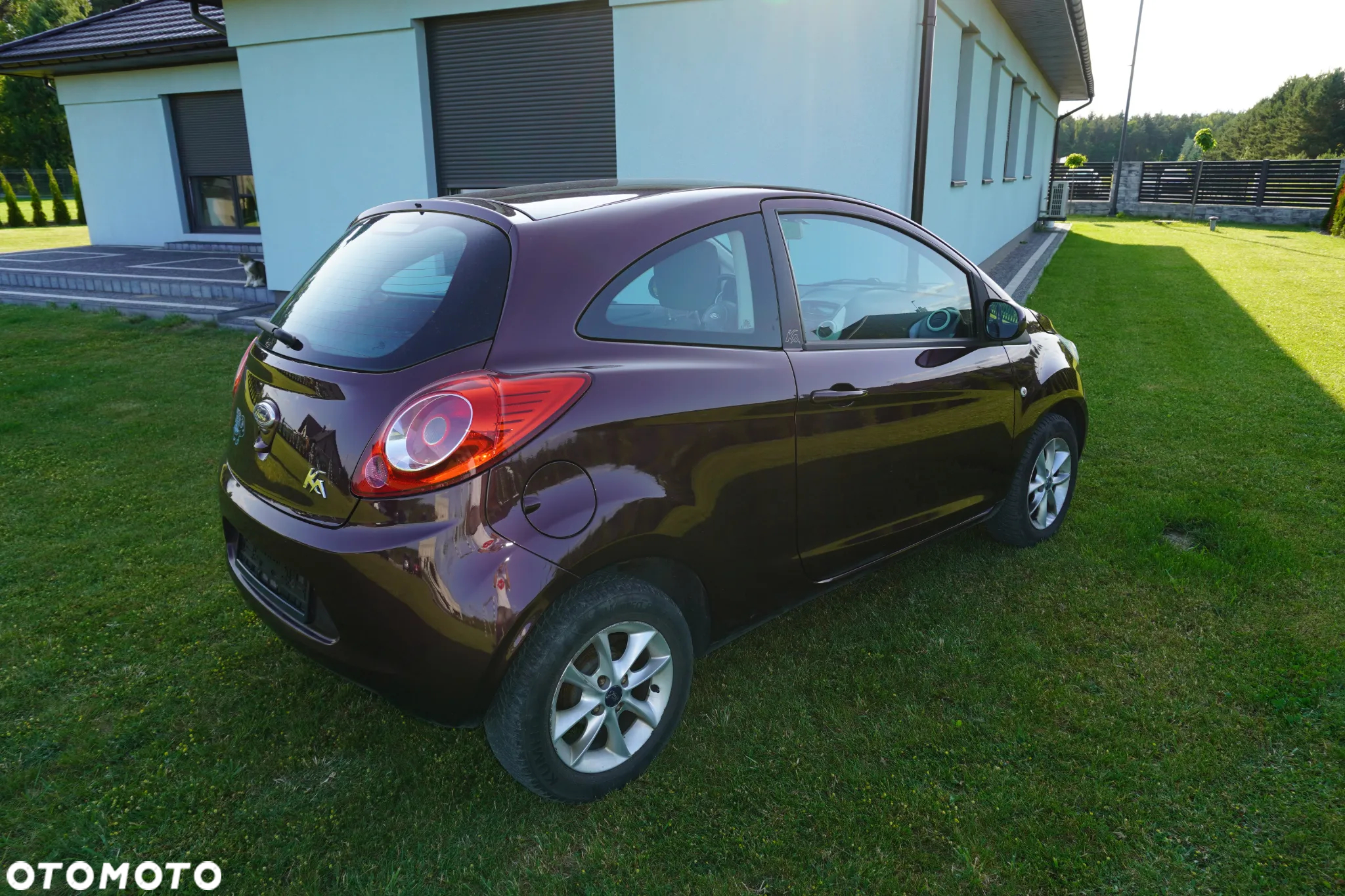Ford KA 1.2 Start-Stopp-System Champions Edition - 18