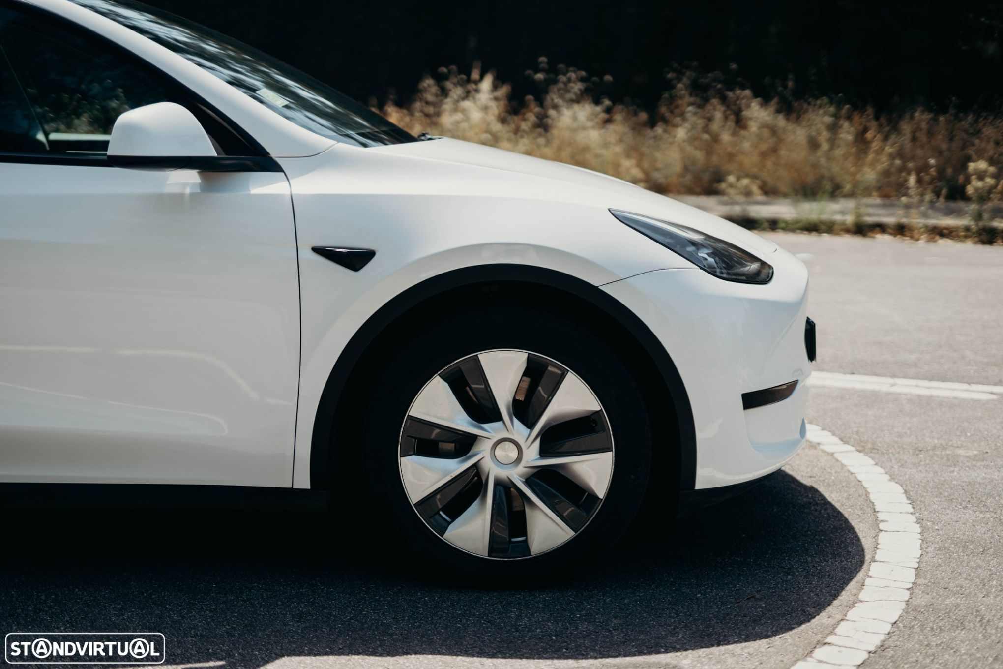 Tesla Model Y Tração Traseira - 15