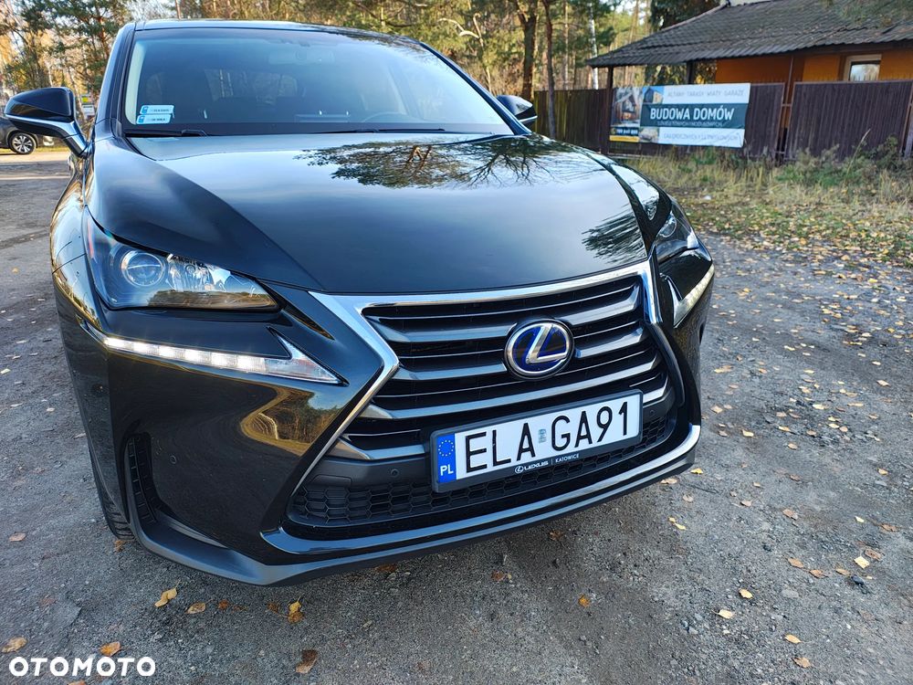 Lexus NX 300h Elegance 2WD - 7