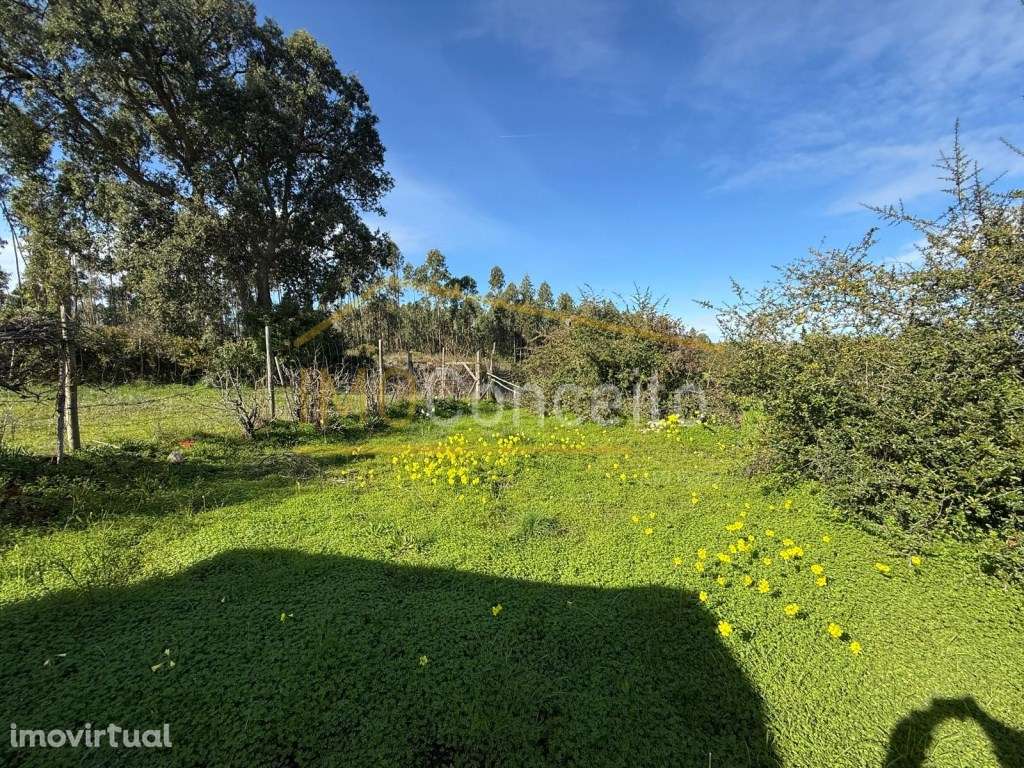 Terreno Urbano | Charneca da Meia Via | Torres Novas - Grande imagem: 2/2