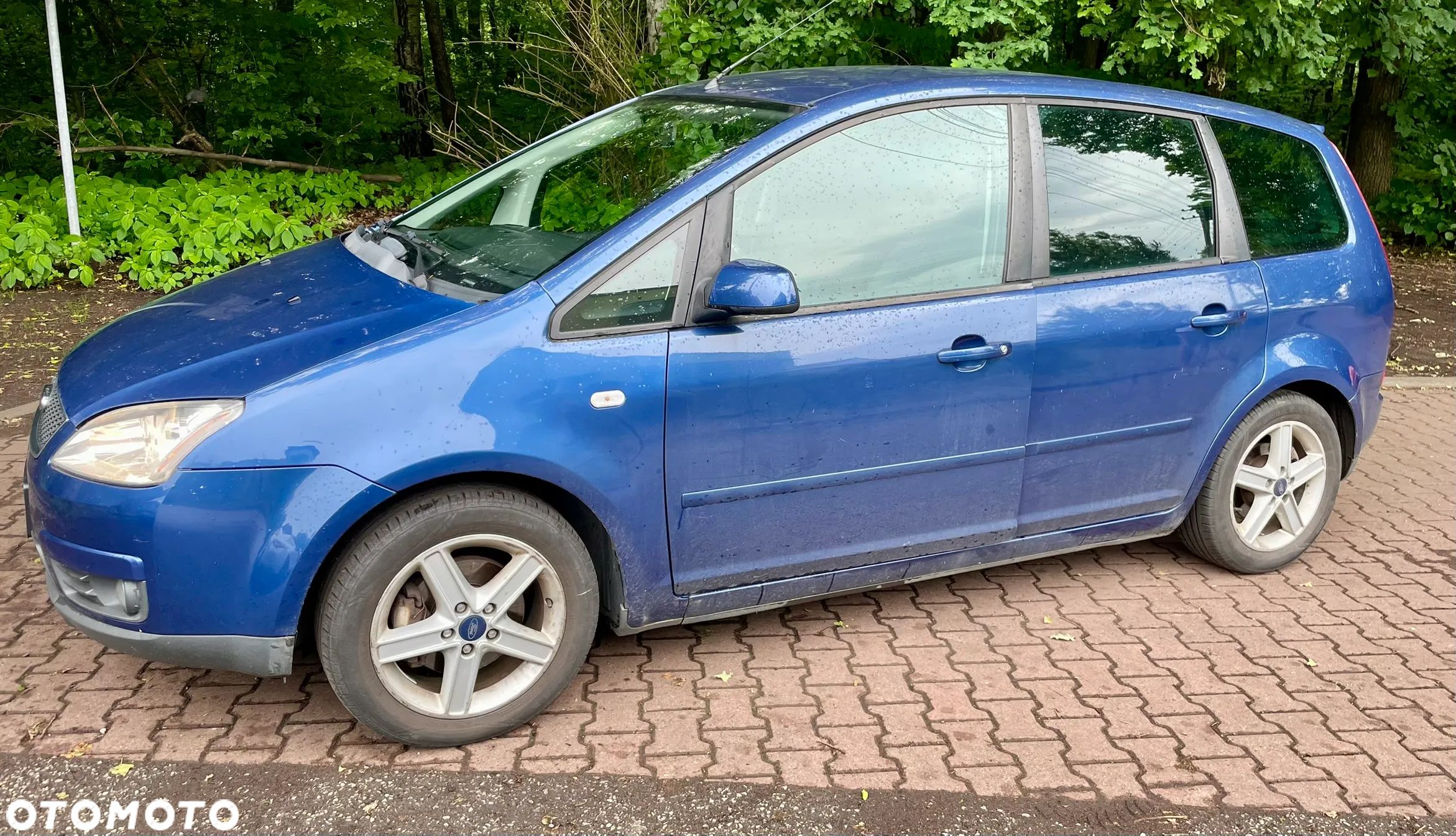 Ford Focus C-Max - 1