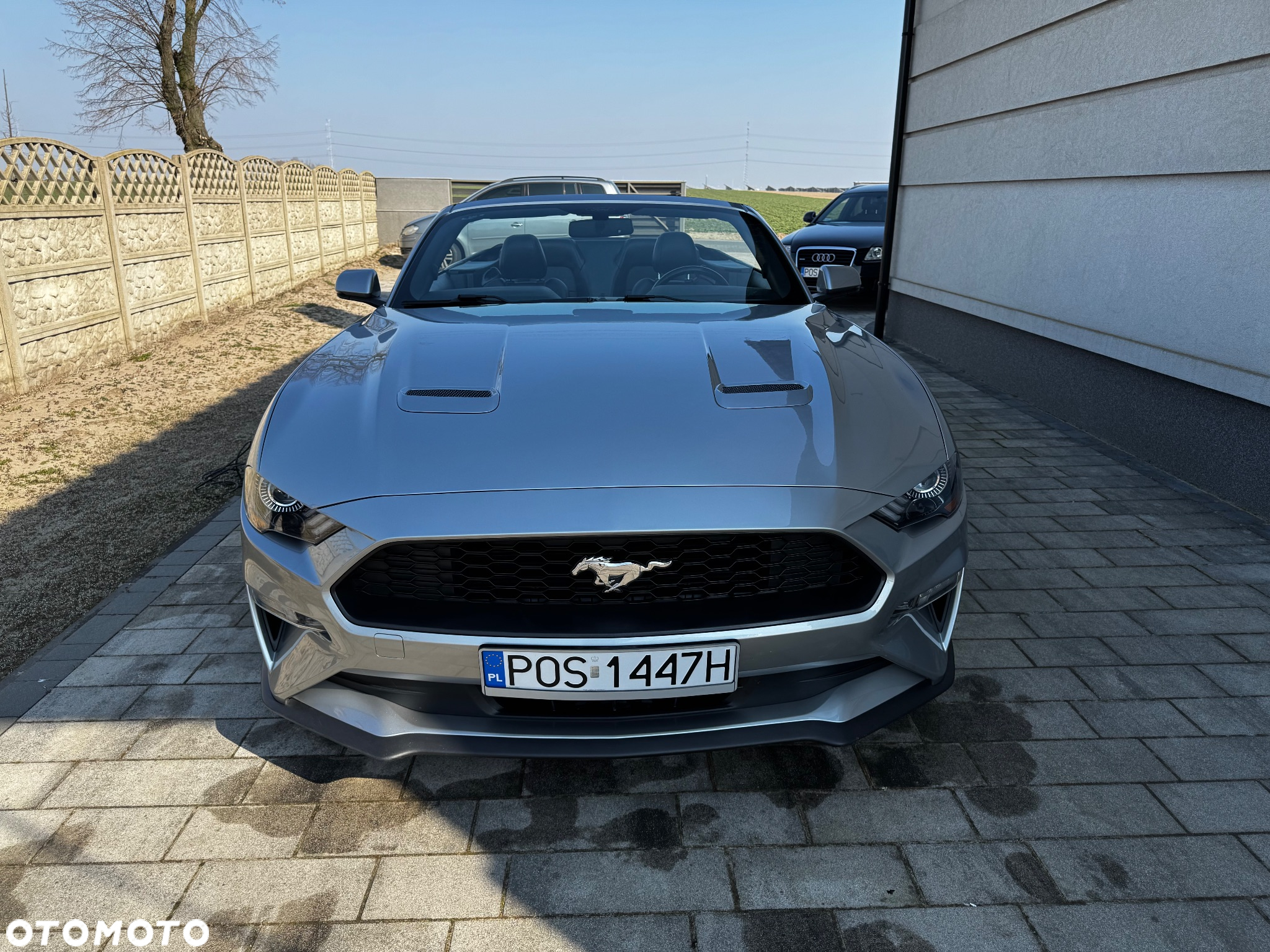 Ford Mustang Cabrio 2.3 Eco Boost - 4