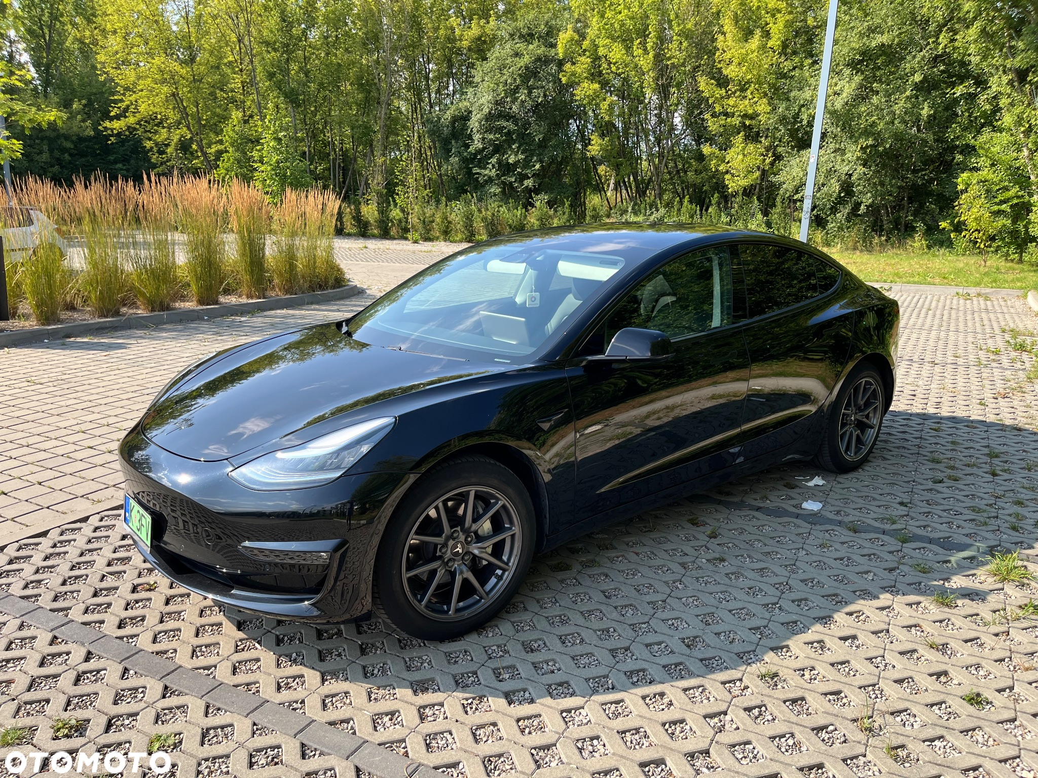 Tesla Model 3 Standard Reichweite Plus Hinterradantrieb - 5