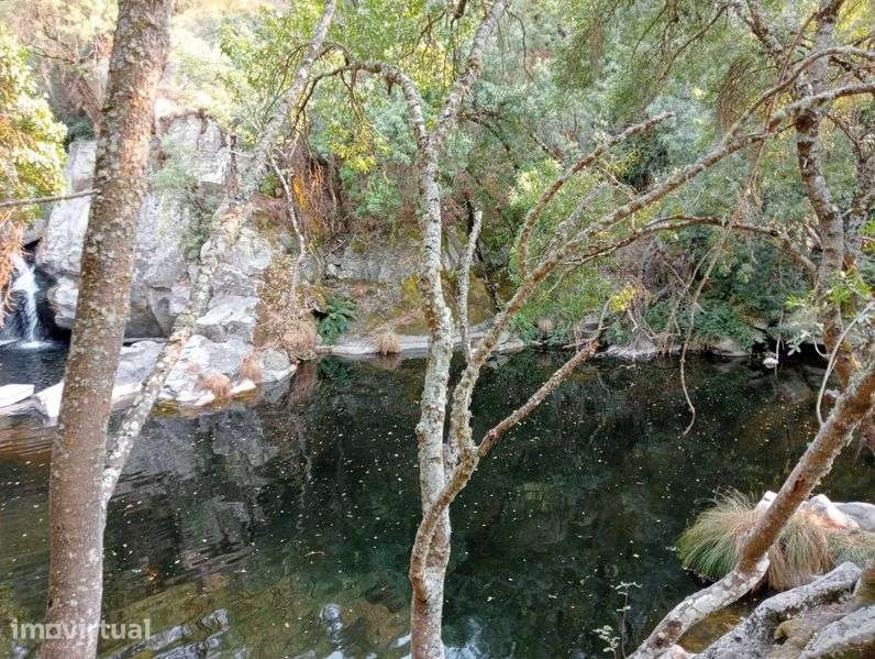 Terreno Lamego com Moinho - Grande imagem: 2/12