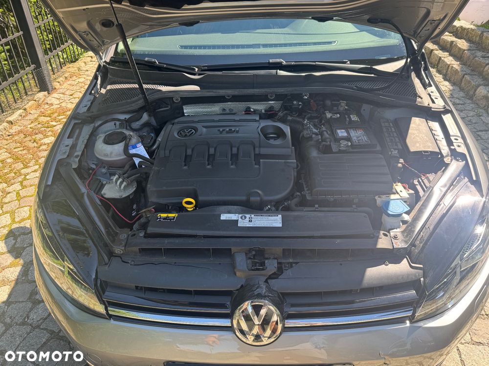 Volkswagen Golf 1.6 TDI (BlueMotion Technology) DSG Trendline - 13