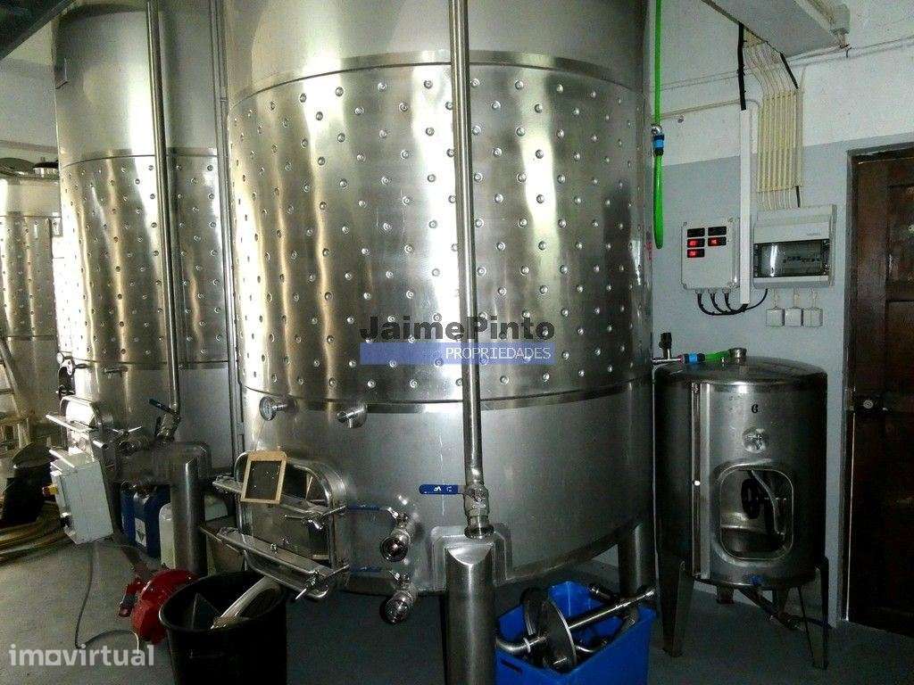 Vinha 8ha, Quinta 13,2ha, Adega, Marcas. Portugal, Beira Interior, ... - Grande imagem: 5/9
