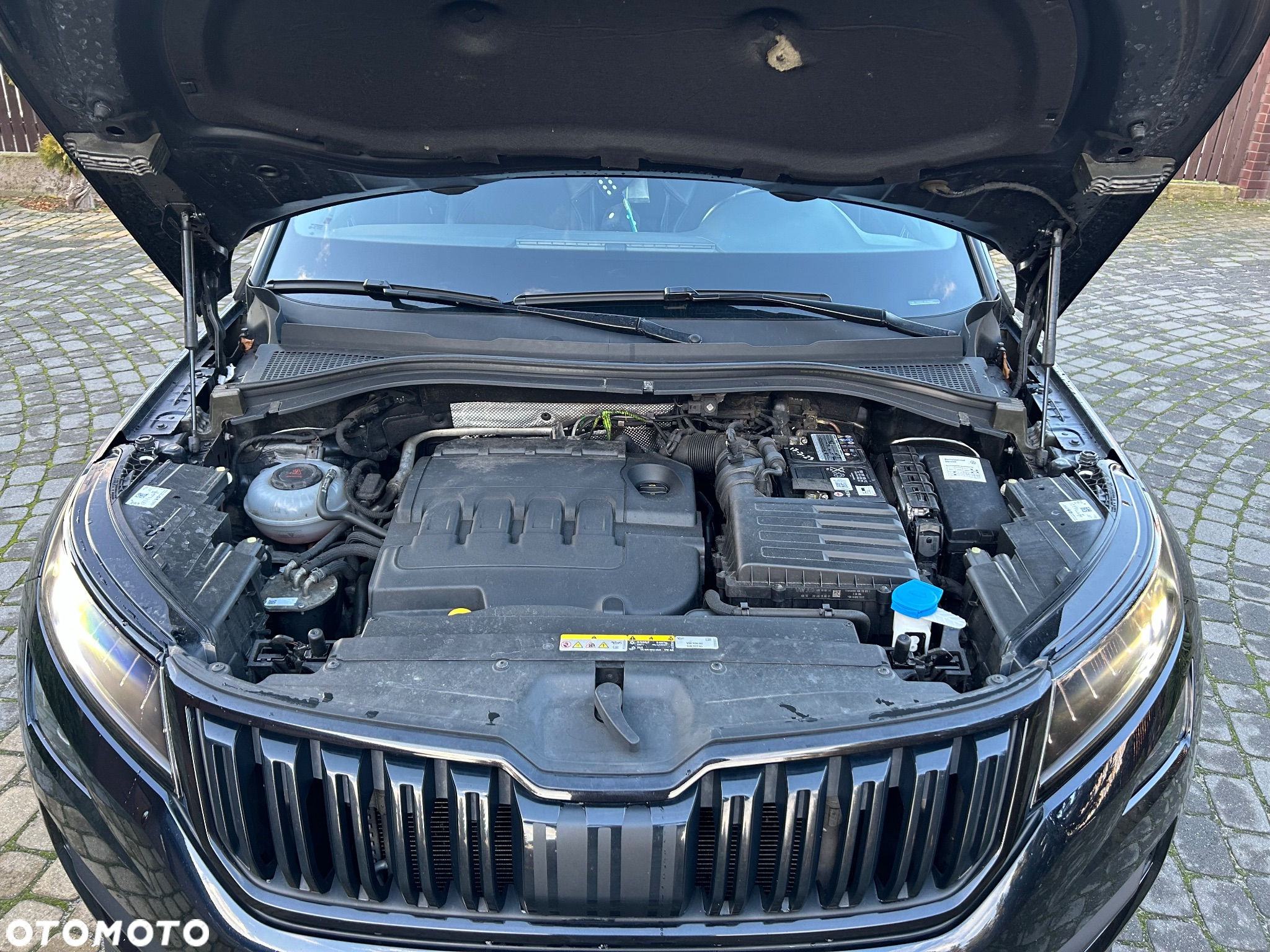 Skoda Kodiaq 2.0 TDI 4x2 Sportline DSG - 32