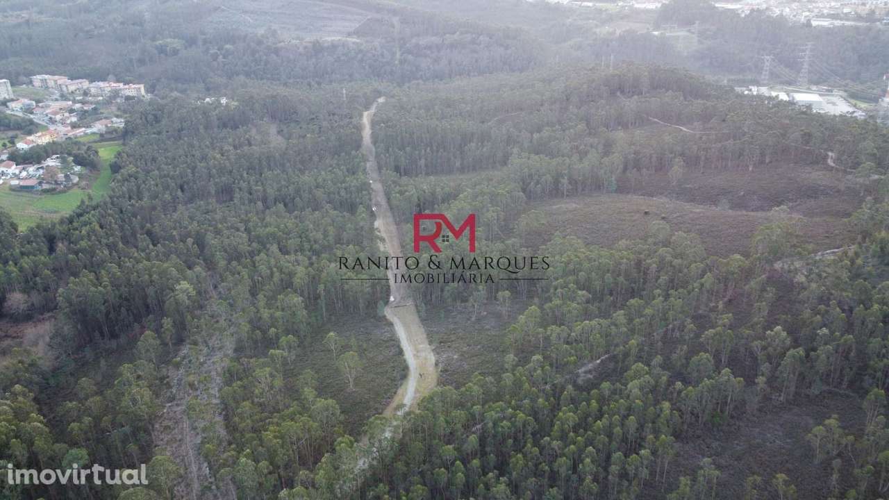TERRENO RÚSTICO | VALONGO, ZONA "CABEDA" - Grande imagem: 4/12