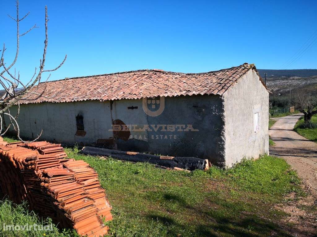 Oportunidade moradia T2 no campo - Freixianda - Grande imagem: 3/8