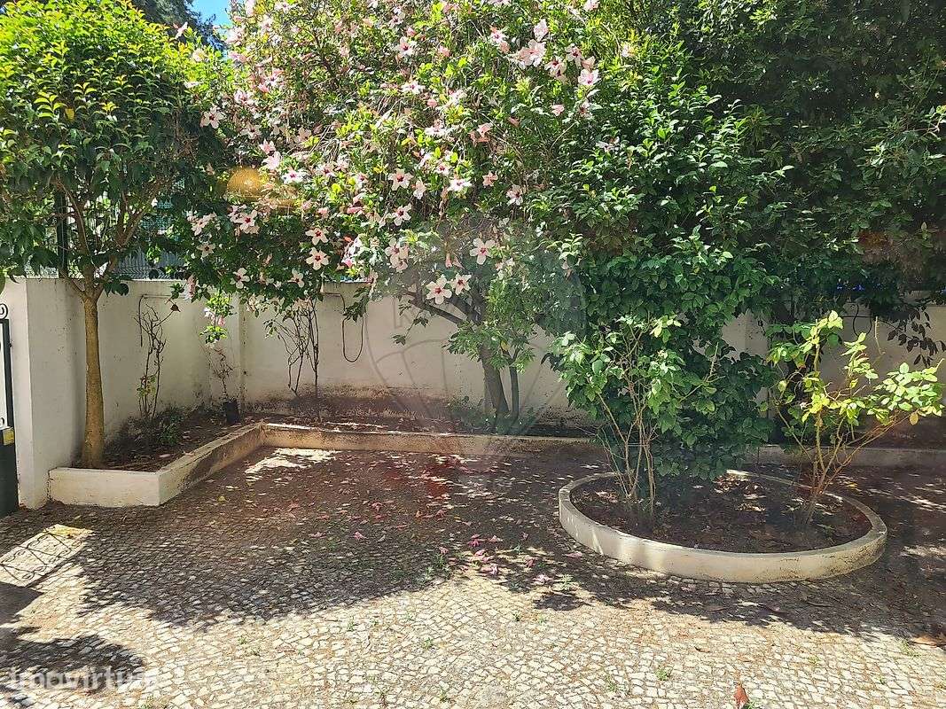 Apartamento T0 para arrendamento - Grande imagem: 3/21