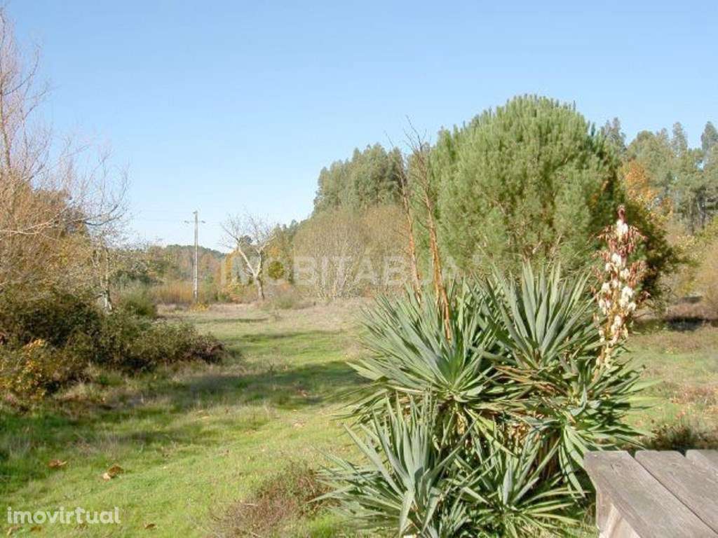 Terreno situada no centro de Portugal, perto da vila de Tábua. - Grande imagem: 3/5