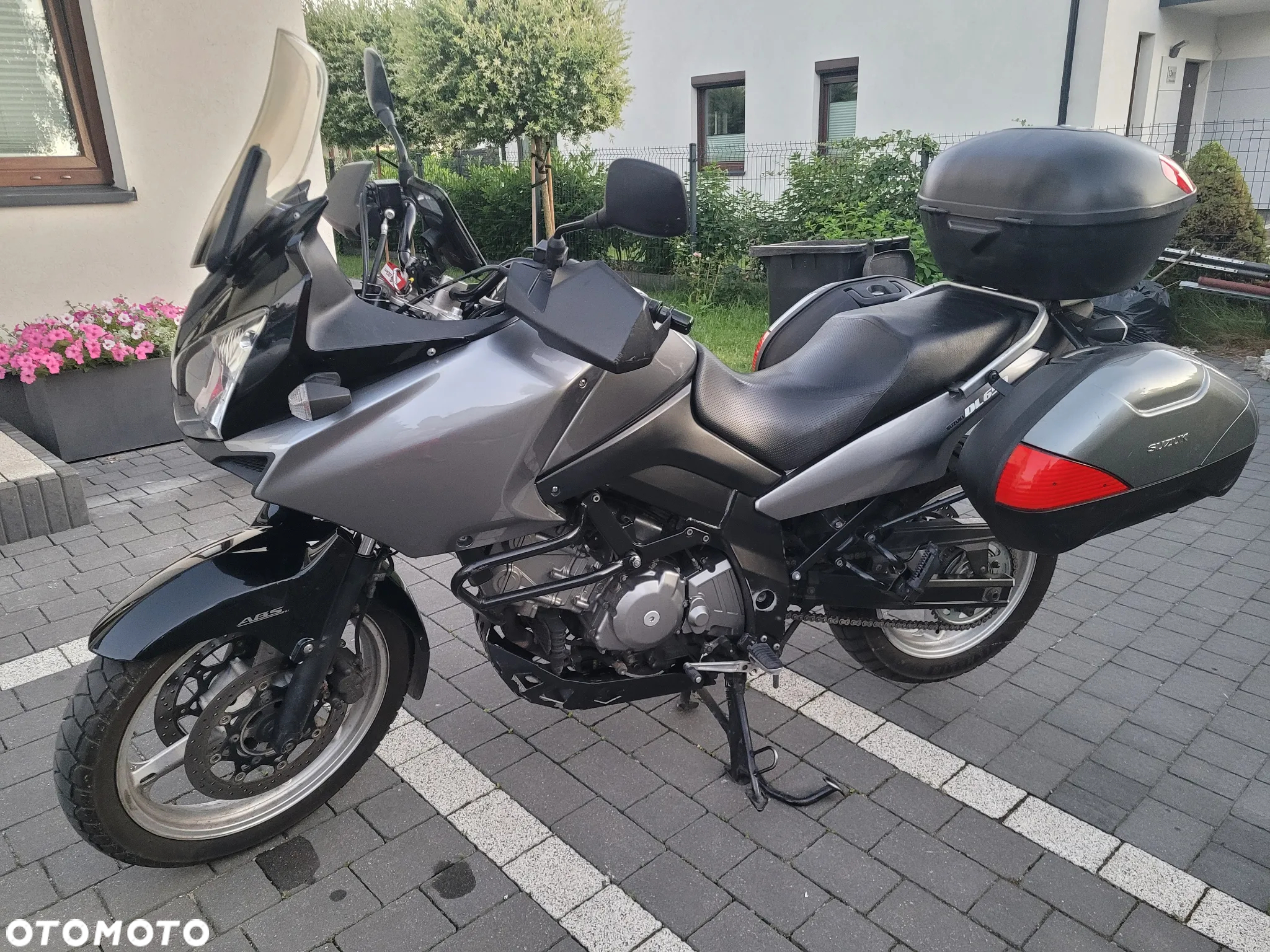 Suzuki DL - 12