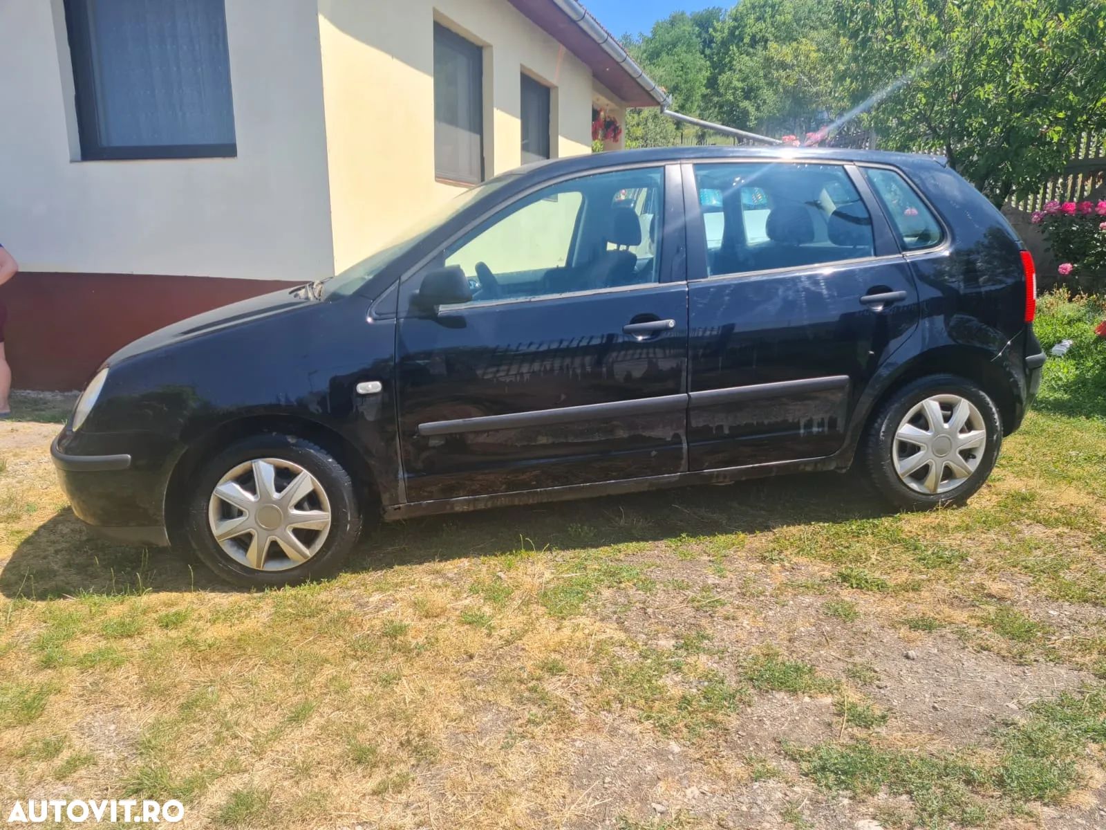 Volkswagen Polo - 1