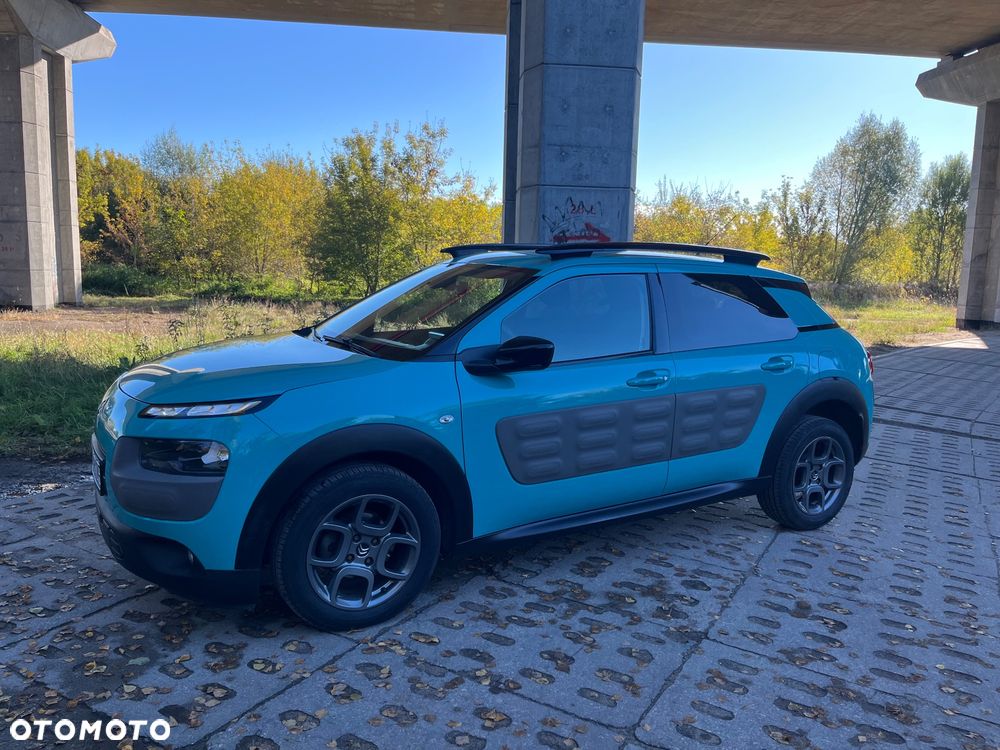 Citroën C4 Cactus PureTech 110 Stop&Start Shine - 19