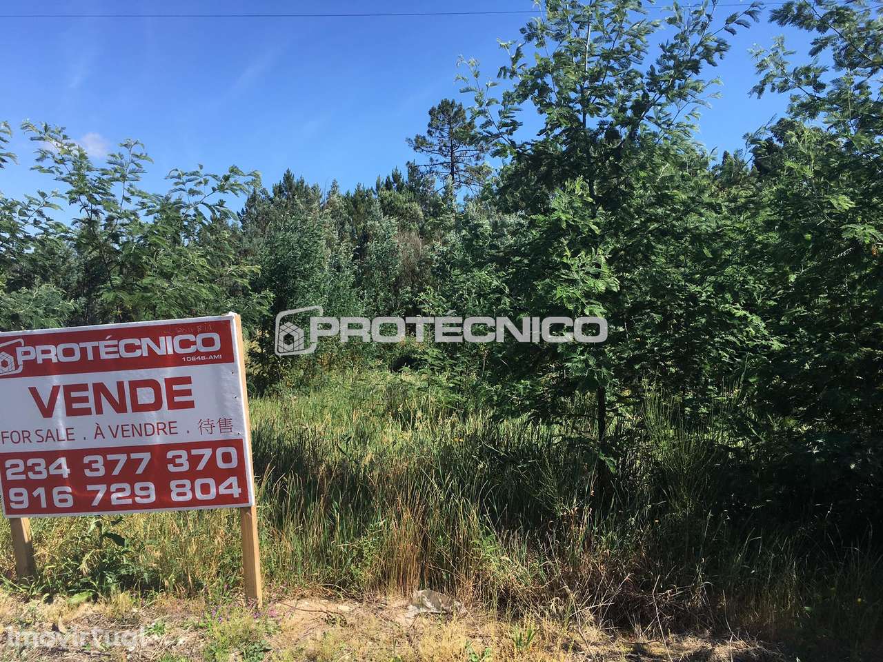 Terreno c/ 7.300m2 – Azenhas de Baixo - Grande imagem: 5/13