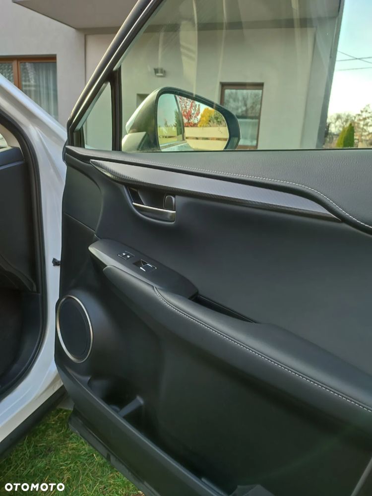 Lexus NX 300 - 19