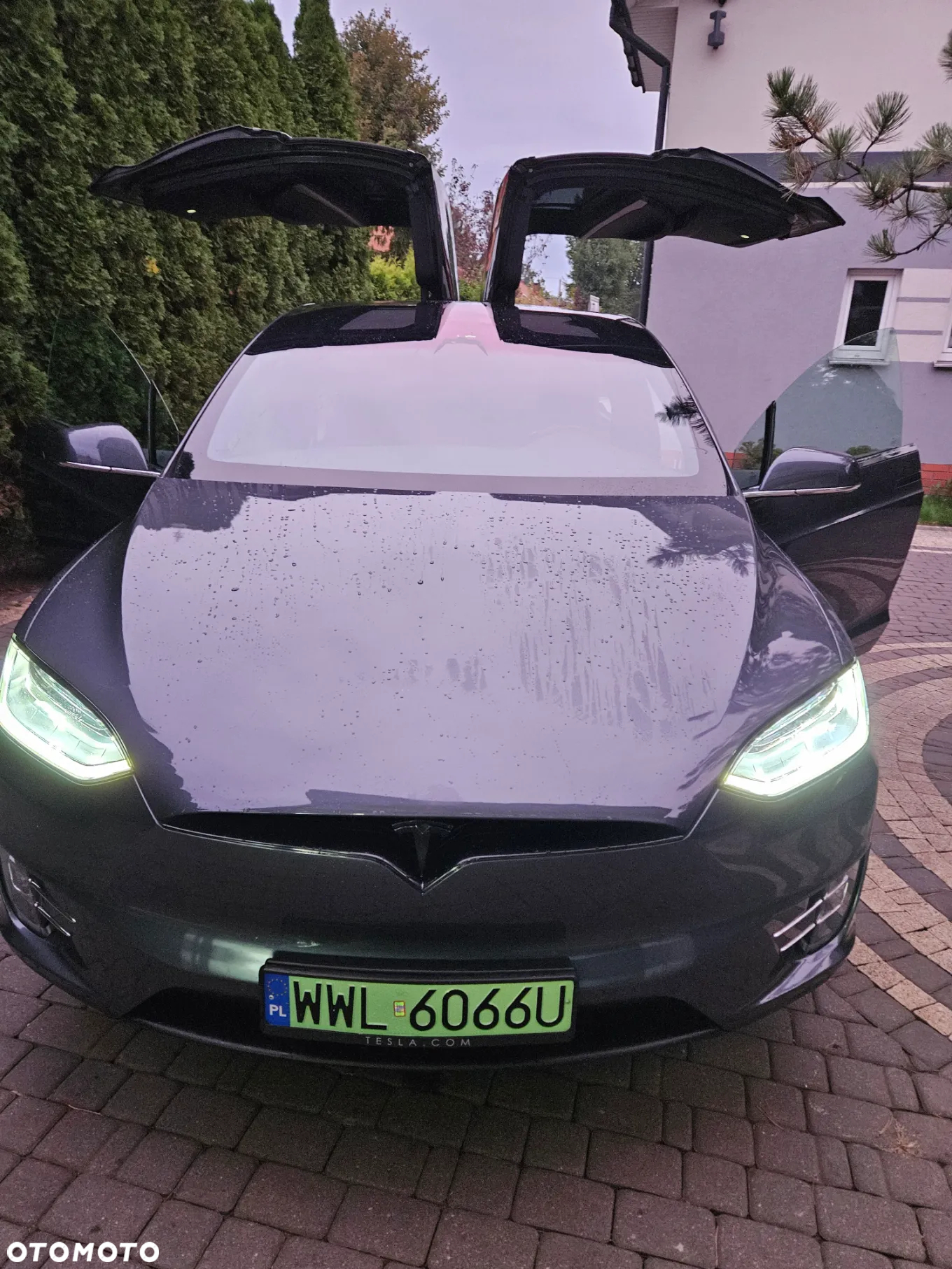 Tesla Model X P 100 D - 18