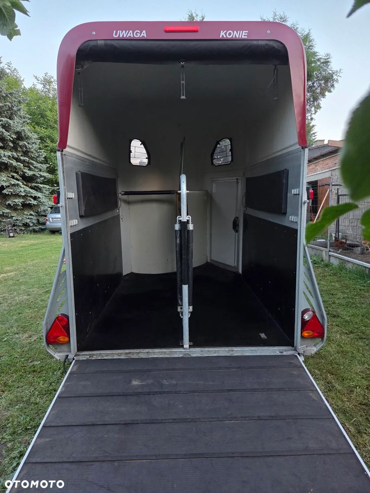 Cheval Liberte GOLD PULLMAN V2 - 8