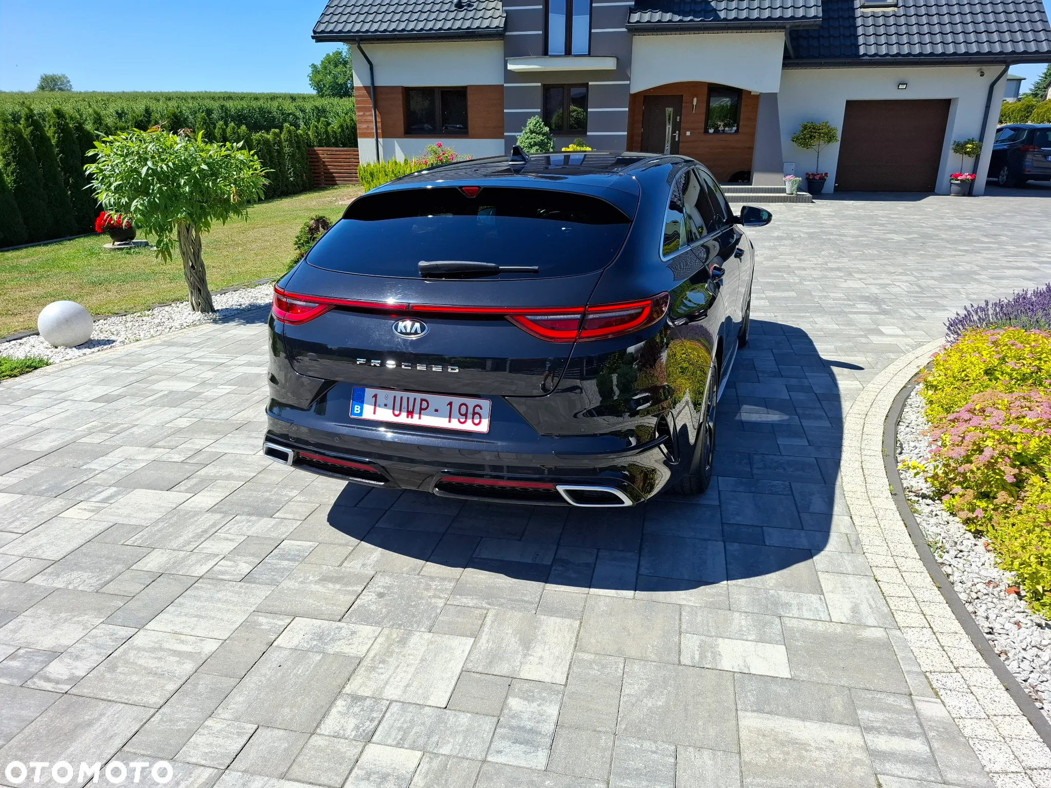 Kia ProCeed 1.5 T-GDI GT Line - 10