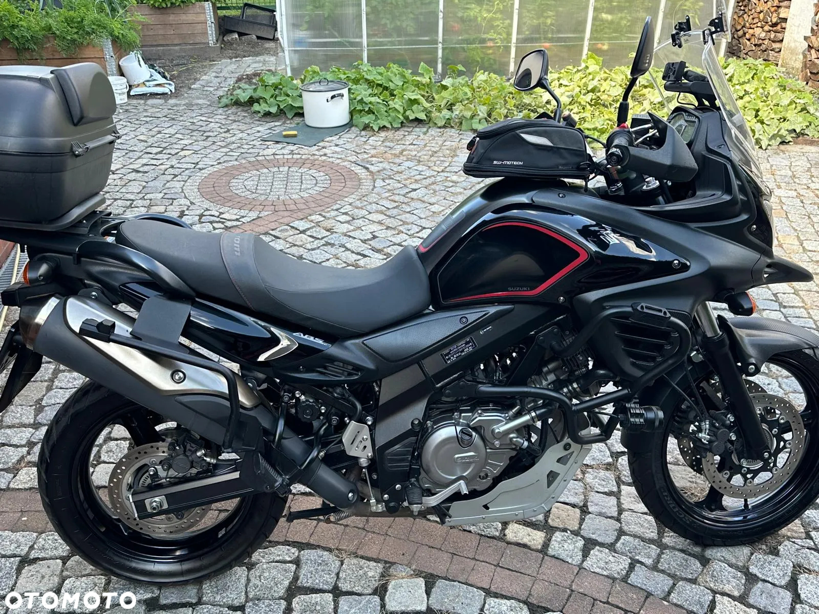 Suzuki DL - 13
