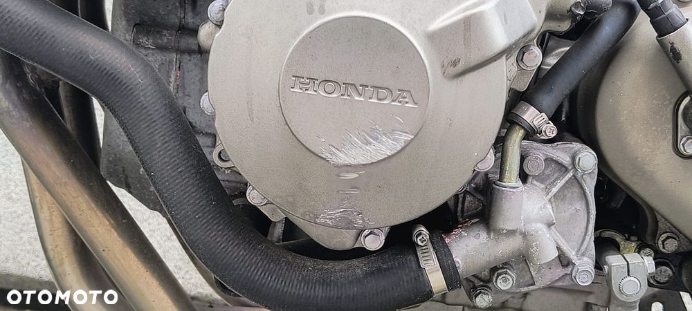 Honda Hornet - 8