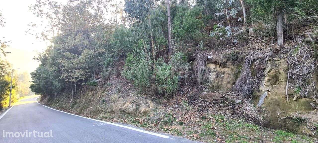 Terreno / Penafiel, Abragão - Grande imagem: 4/16