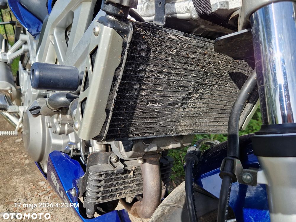 Suzuki SV - 12