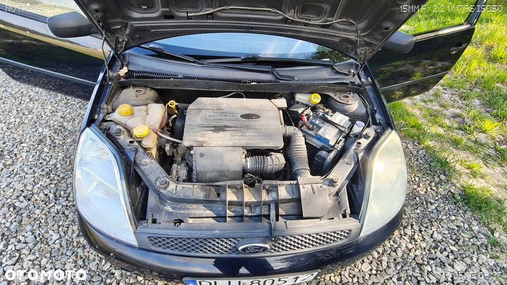 Ford Fiesta - 10