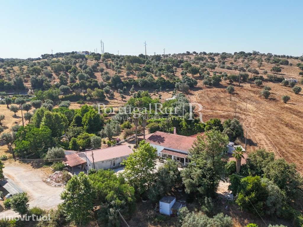 Quinta para eventos com 2,5ha em Montemor-o-Novo - Grande imagem: 5/44