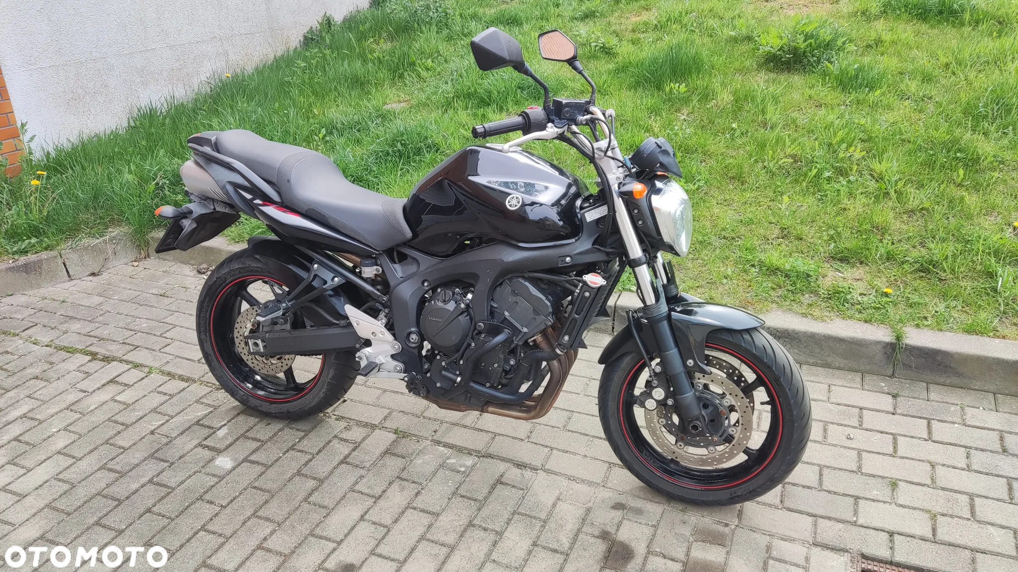 Yamaha FZ6 - 5