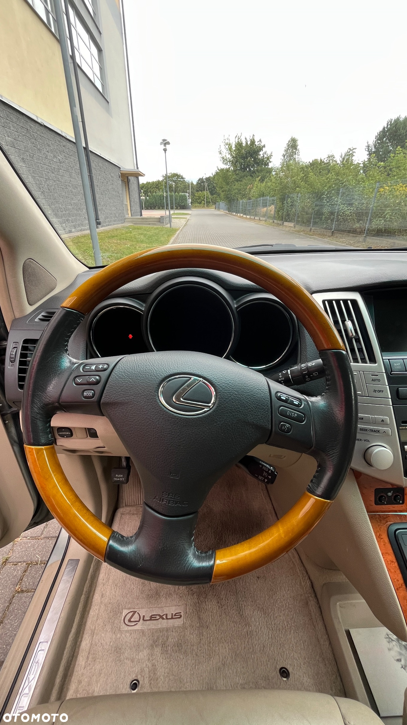 Lexus RX - 12