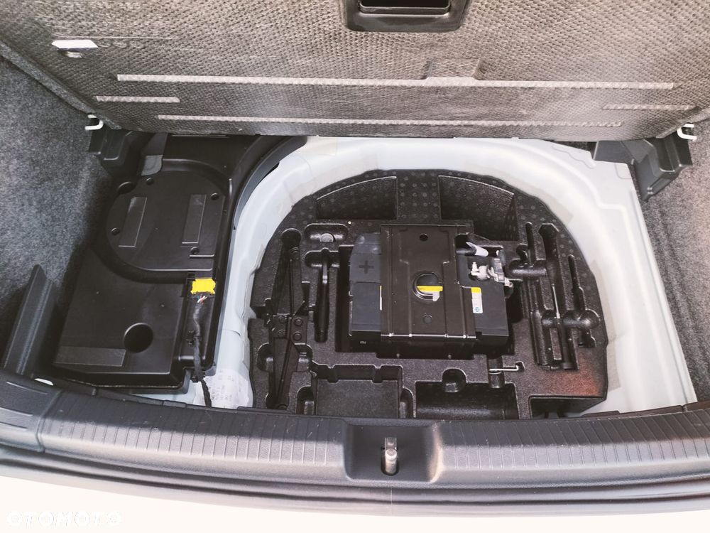 Volkswagen Polo 2.0 TSI GTI DSG - 21