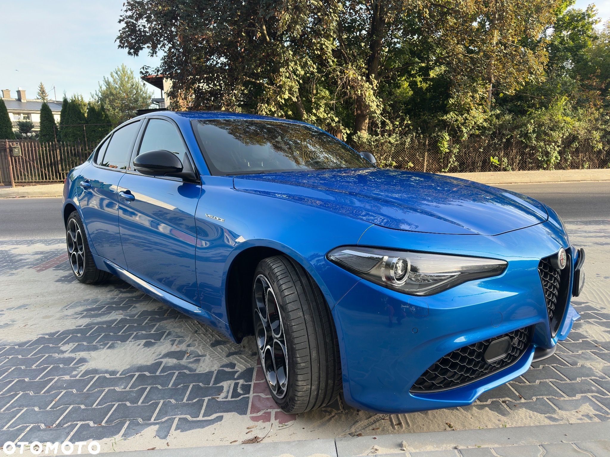Alfa Romeo Giulia 2.0 Turbo Veloce Q4 - 1