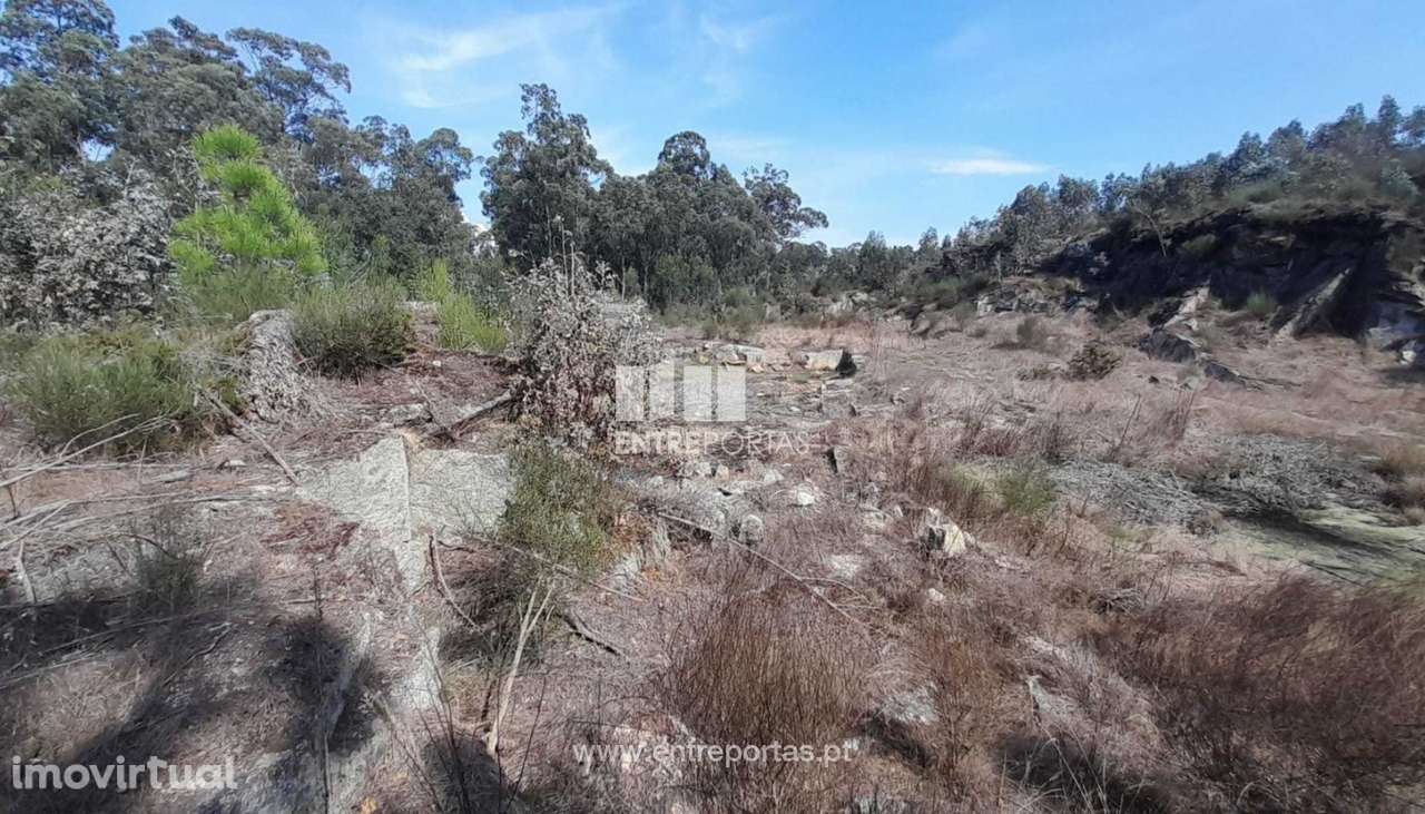 Venda de Terreno - Bouça, Vila Seca, Barcelos - Grande imagem: 2/10