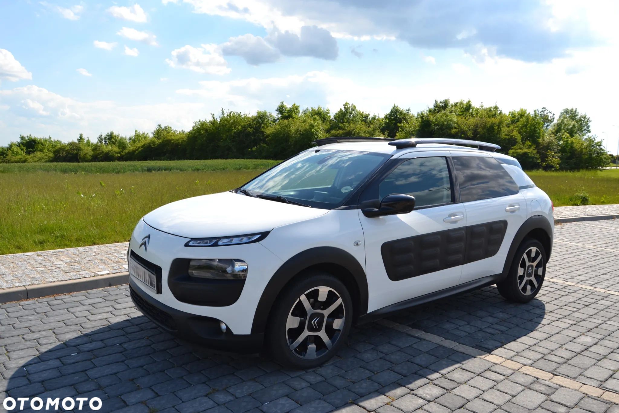 Citroën C4 Cactus 1.6 Blue HDi Shine - 1