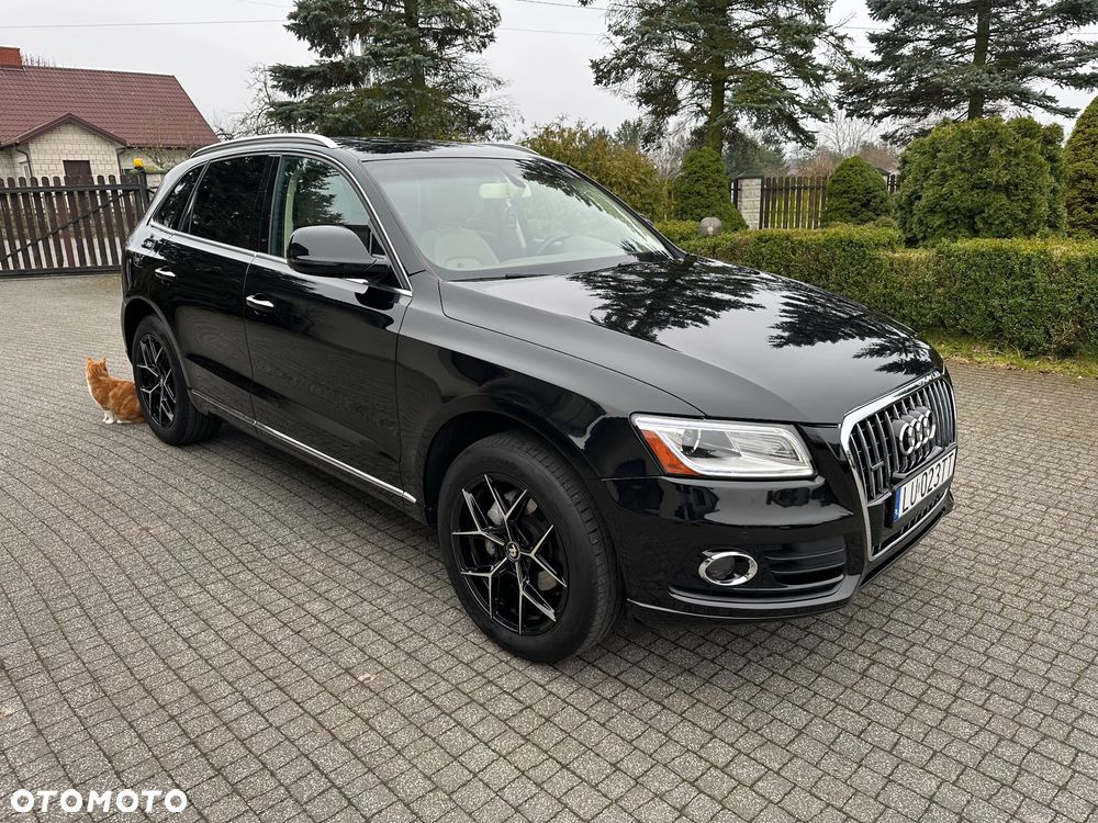 Audi Q5 - 7