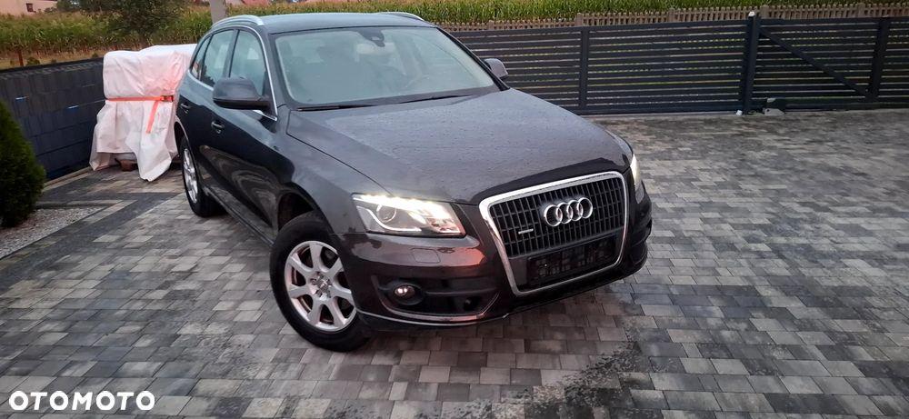 Audi Q5 2010 photo 2