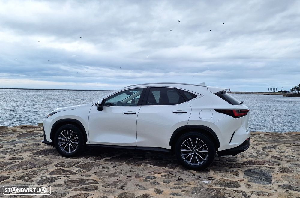 Lexus NX 450h+ - 7